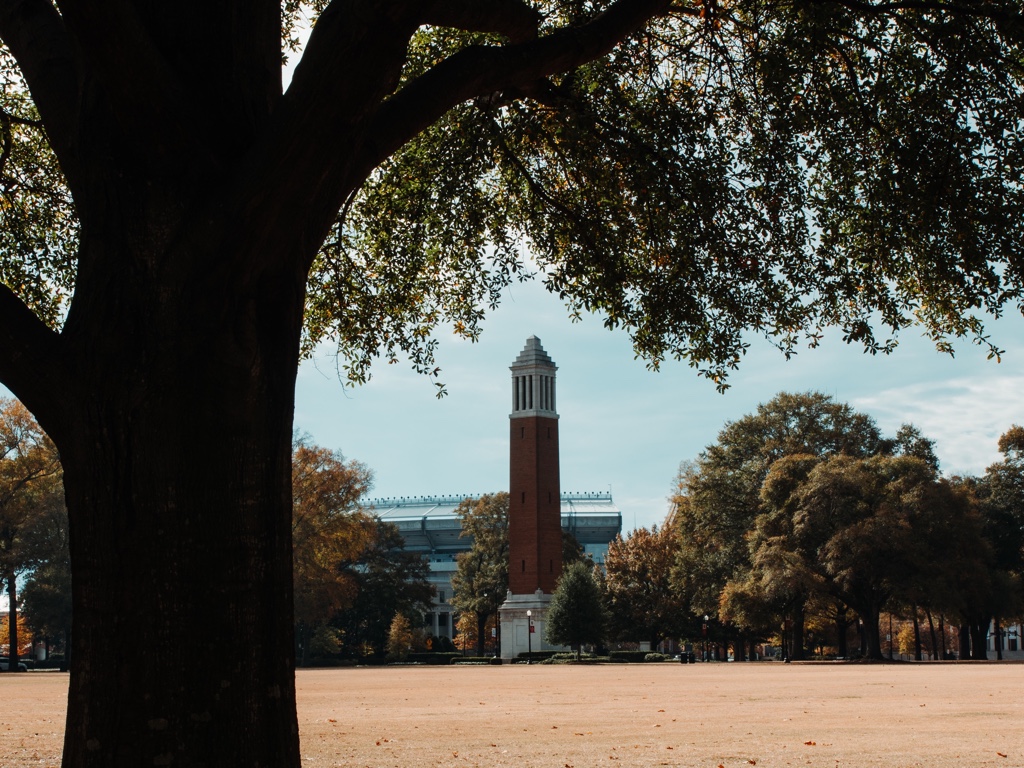Photo of location landscape